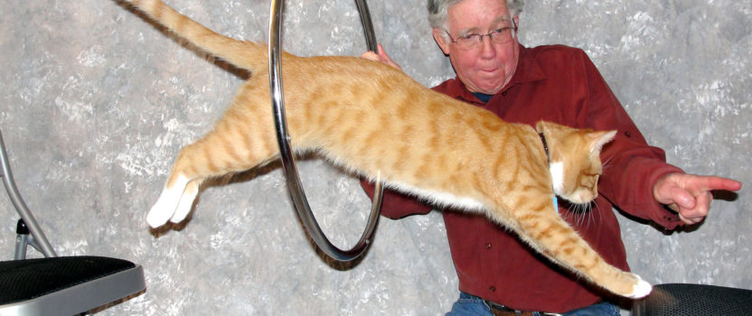 “Beyond Purring: Tricks Your Cat Can Learn” is locked Beyond Purring: Tricks Your Cat Can Learn